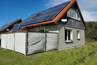 Ferienhaus Lille Strandhus