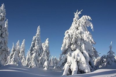 Vakantieappartement Gezinsvakantie Sehmatal