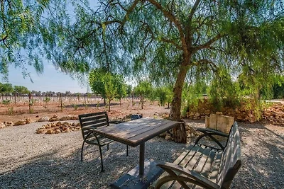 Weinbergsfinca Es Vinyet