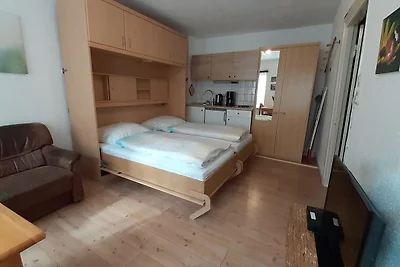 1-Zimmer-Apartment 1 im 1.