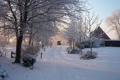 Inselhof Steengrafe - Strandblick