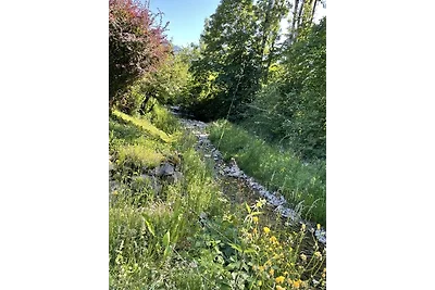 Viola in Haus Admont