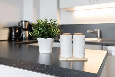 Börn Börn Miesmuschel