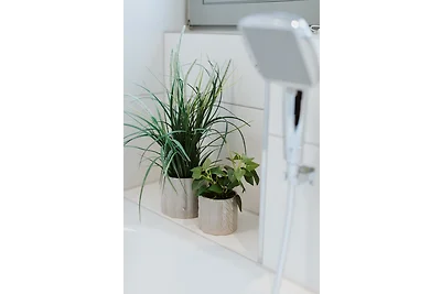 Ostsee - Reetdachhaus Nr. 1