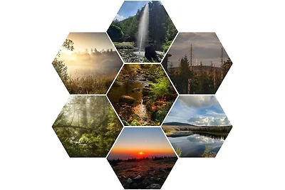 Haus Lauterberg 1 - Das