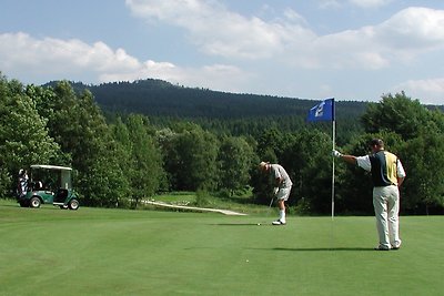 Vakantieappartement Gezinsvakantie Tröstau