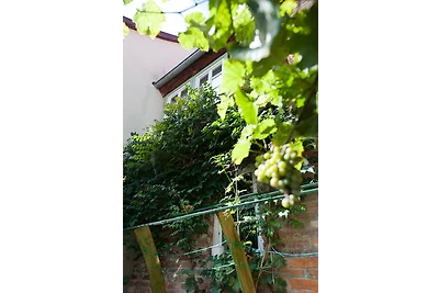 Vakantieappartement Gezinsvakantie Quedlinburg