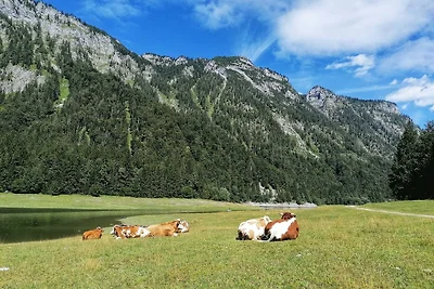 Ferienwohnung Ameisenhuus