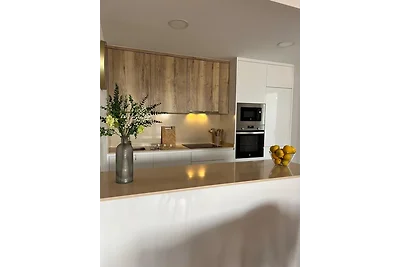 Molino Beach House, Modern home