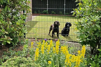 "Nähe Schlosspark" (RE21)