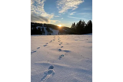 Appartamento Vacanza con famiglia Feldberg