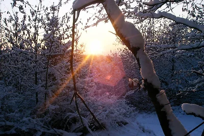 Vakantieappartement Gezinsvakantie Reifferscheid