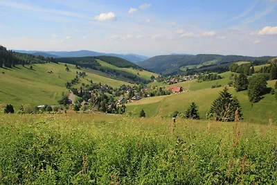 Ferienwohnung Todtnauberg in der