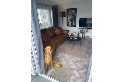 Nr. 88 Neues, ruhiges