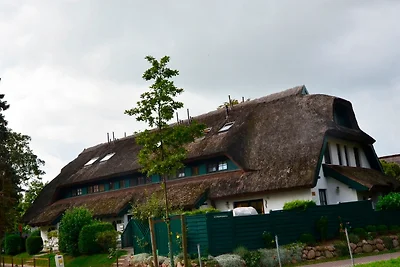 Casa vacanze Vacanza di relax Groß Zicker