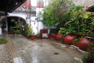 Casa Maria y David Appartement 1