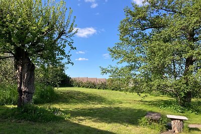 Ferienhaus Westerwald Meudt