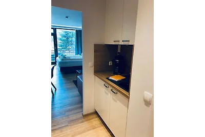 Appartement Vacances avec la famille Goslar