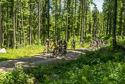 Appartamento Vacanza con famiglia Titisee-Neustadt