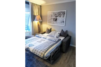 Hahnenklee mit Seeblick 219