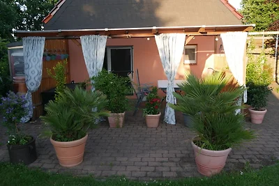 The Ranch - Ferienhaus Drevenack