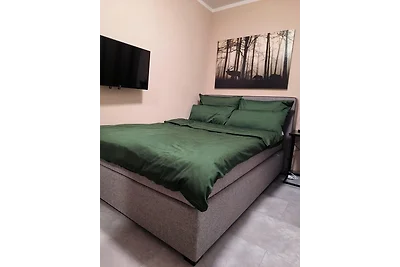 Harz High End Ferienwohnung
