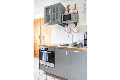 Elbwiesenhaus mit schönen Garten