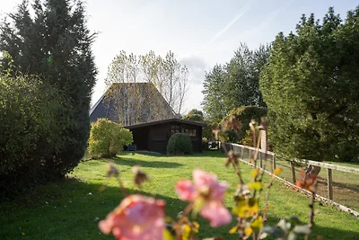 Lange Wiese- Rosengarten