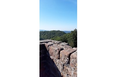 Wasgau Felsen- und Seen