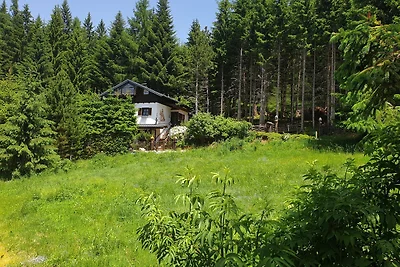 Alm`Ferienhaus Gaisegg