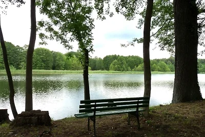 Vakantiehuis Ontspannende vakantie Heideblick