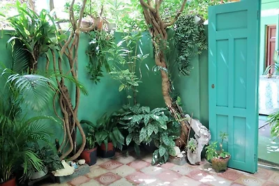 Casa Estrella del Mar Appartement 1