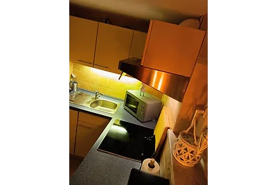 Apart Lachmöwe im Möwennest