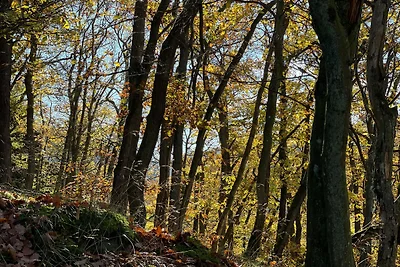 Vakantieappartement Gezinsvakantie Mastershausen