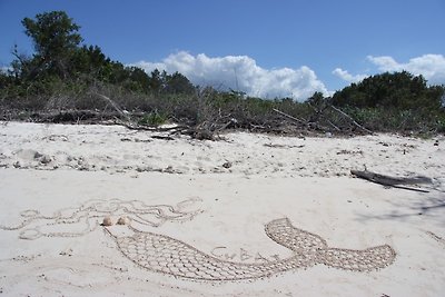 Appartamento Vacanza con famiglia Pinar del Rio