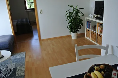Rheinau Apartment
