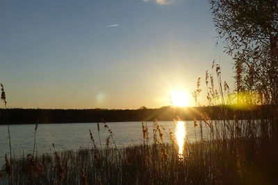 Vakantieappartement Gezinsvakantie Ivenack