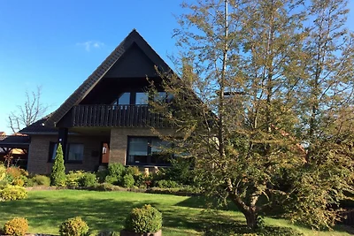 Vakantieappartement Gezinsvakantie Geeste