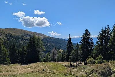 Appartamento Vacanza con famiglia Bad Kleinkirchheim