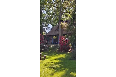 Traumhaftes Reetdachhaus "Grote