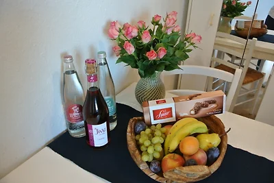 Rheinau Apartment