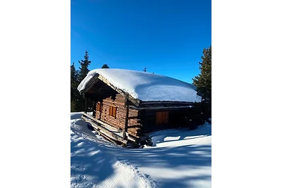 Appartamento Vacanza con famiglia Mayrhofen