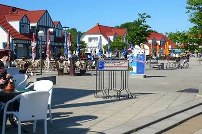 Ferienwohnung Uferschwalbe