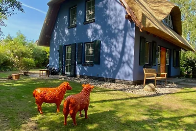 Dünenhaus Strandlang