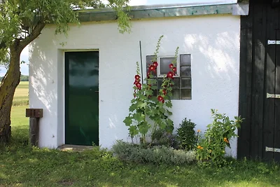 Vakantieappartement Gezinsvakantie Reimershagen