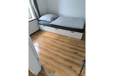 Löwe (1-6 Personen)