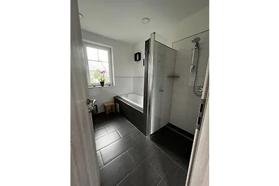 Janeviz - 34-1312 - bei