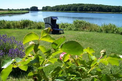 Casa vacanze Vacanza di relax Nieby