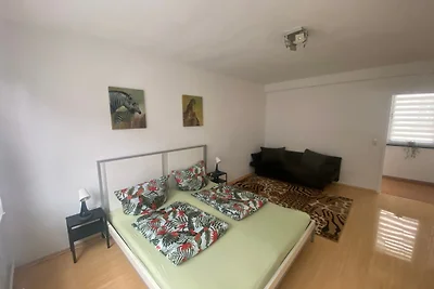 Mainz Apartment near central
