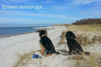 Appartamento Vacanza con famiglia Wendtorf